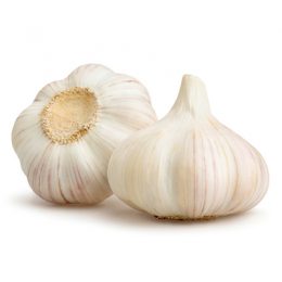 Fresh garlic