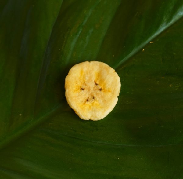 Banana Chips (Vacuum Frying)3