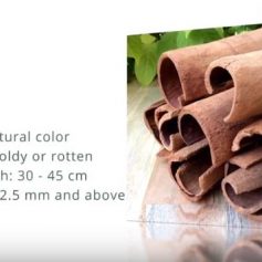 High quality Vietnamese cinnamon powder and oil – C & C Spice Company Limited High quality Vietnamese cinnamon powder and oil – C & C Spice Company Limited