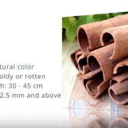 High quality Vietnamese cinnamon powder and oil – C & C Spice Company Limited