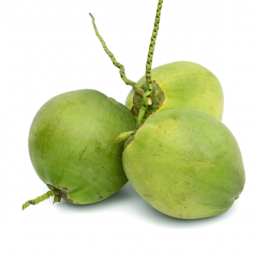 Dừa non