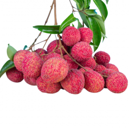Vải thiều tươi