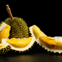 Sầu riêng – “VUA CỦA CÁC LOẠI TRÁI CÂY”