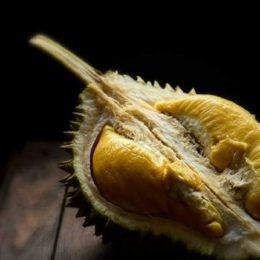 How to distinguish Ri6 durian and Monthong durian (Dona durian)