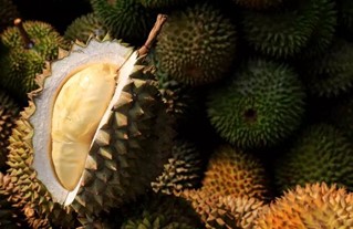 Durian Fruit: Smelly but Incredibly Nutritious