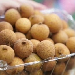 Vital training courses for the future’s amazing product