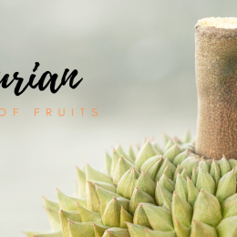 DURIAN – THE “KING OF FRUITS”